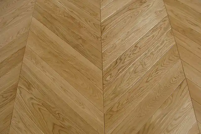 პროექტი 6