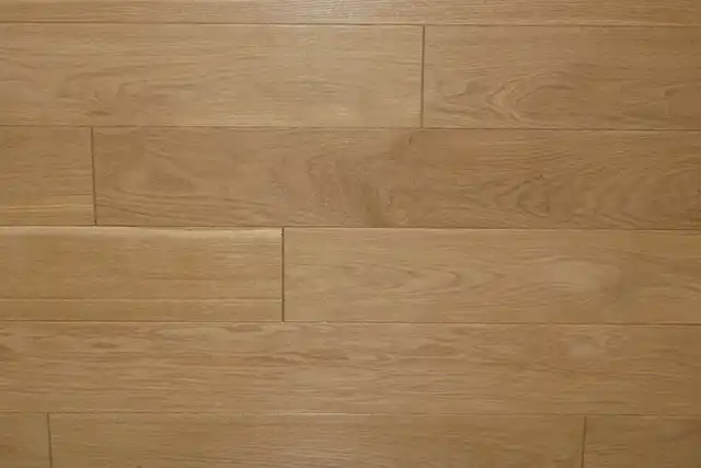 პროექტი 7